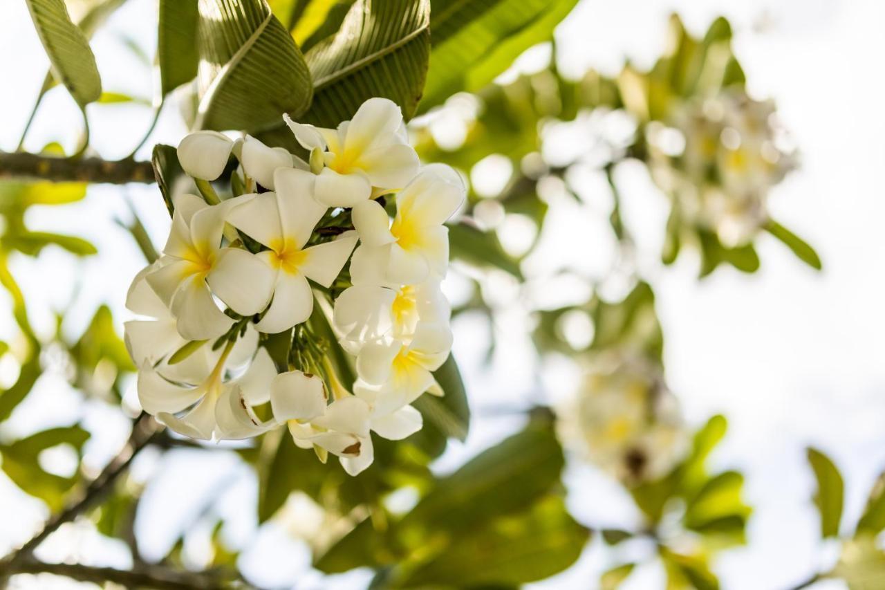 Kanuhura Maldives Kuredu Ngoại thất bức ảnh